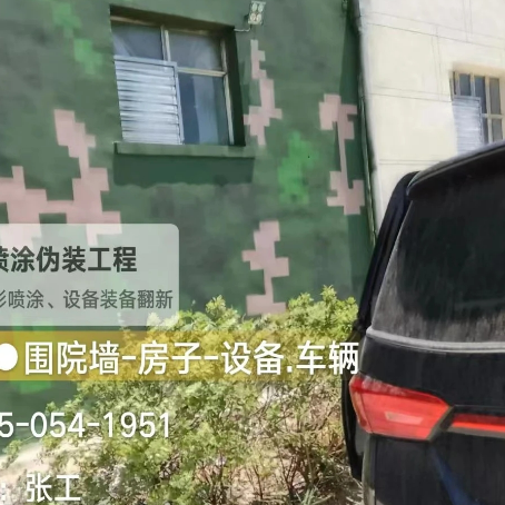 萍乡数码迷彩漆施工